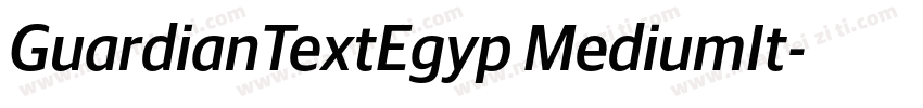 GuardianTextEgyp MediumIt字体转换